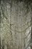 Picture of Green Jute Netting Halloween Fabric Roll 6ft