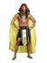 Picture of King of Egypt Adult Mens Costume