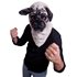 Picture of Mr. Pug Furry Mask