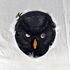 Picture of Bald Eagle Mask