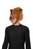 Picture of Super Brown Lion Mask