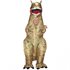 Picture of Giant T-Rex Inflatable Child Costume