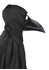 Picture of Faux Leather Plague Doctor Mask