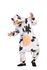 Picture of Casey the Cow Adult Unisex Funsie