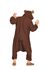 Picture of Bailey the Bear Adult Unisex Funsie