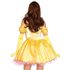 Picture of Enchanting Princess Belle Adult Womens Costume