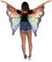 Picture of Rainbow Butterfly Wings