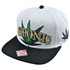 Picture of Chronic Leaf Snapback Cap