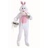 Picture of Mascot Bunny  Costume
