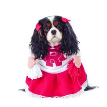 Picture of Grease Rydell High Cheerleader Pet Costume