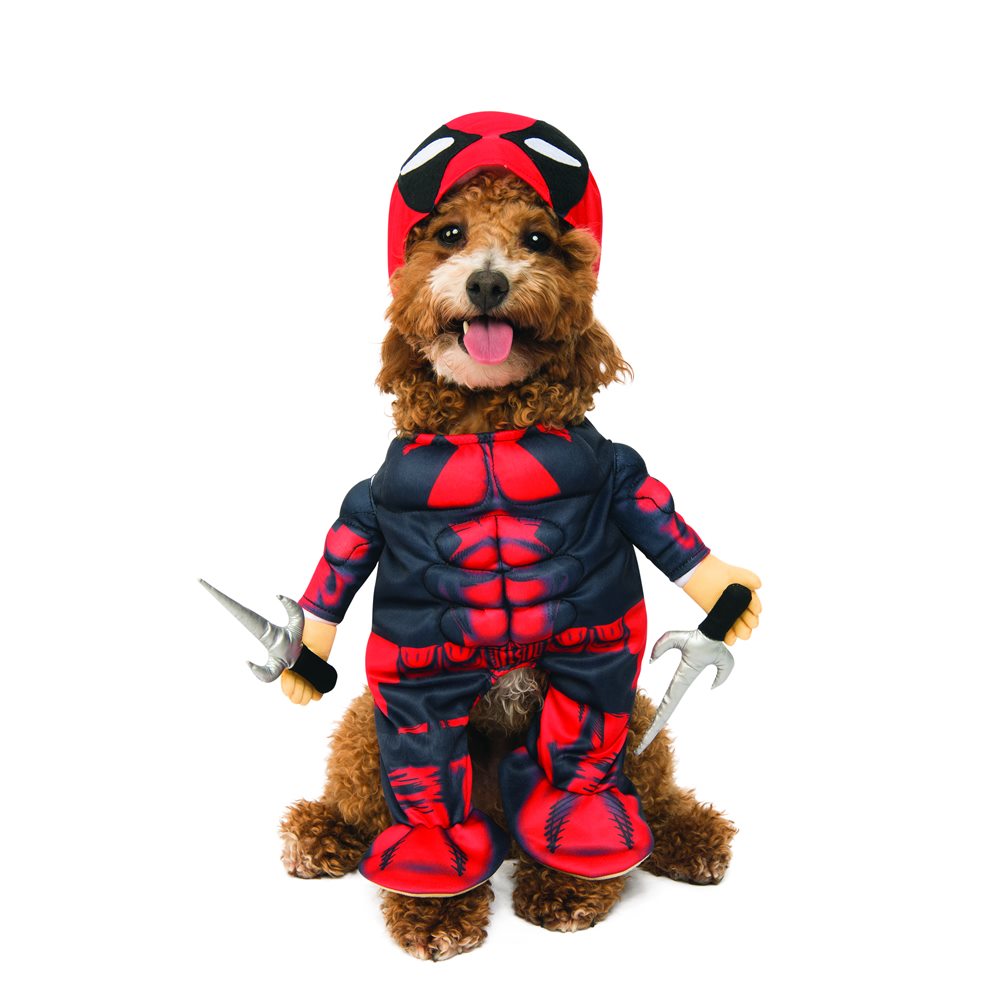 Picture of Walking Deadpool Pet Costume (Coming Soon)
