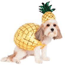 Picture of Pineapple Pup Pet Costume (Coming Soon)
