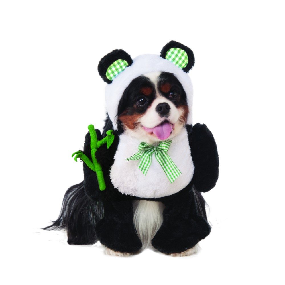 Picture of Walking Panda Pet Costume