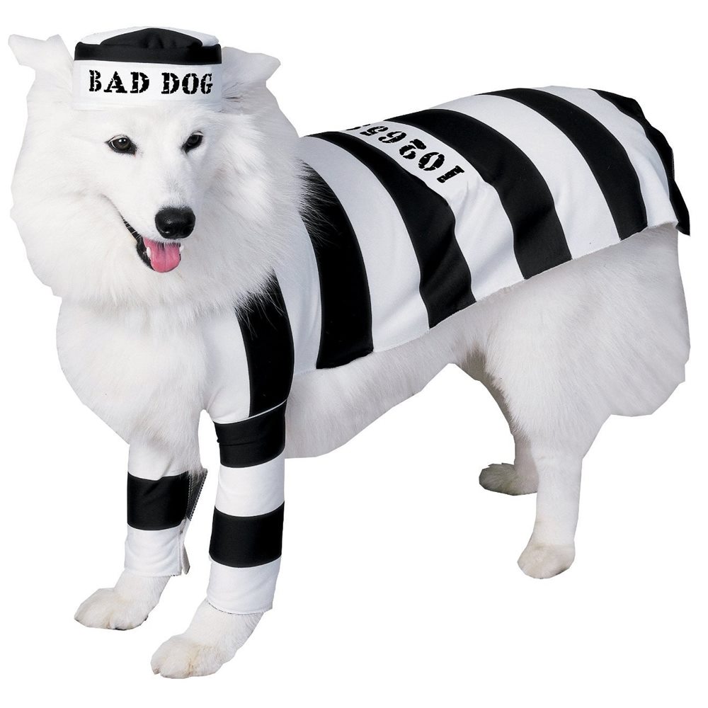 Picture of Prisoner Pooch Pet Costume (Coming Soon)