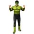 Picture of Avengers Infinity War Hulk Adult Mens Costume