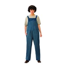 Picture of Stranger Things Eleven Overalls Adult Womens Costume