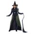 Picture of Gothic Witch Adult Womens Plus Size Costume