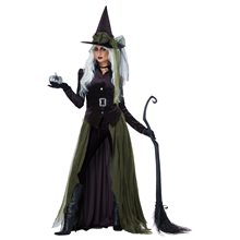 Picture of Gothic Witch Adult Womens Costume