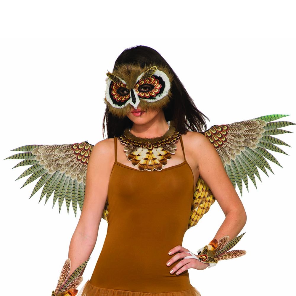 Picture of Owl Wings