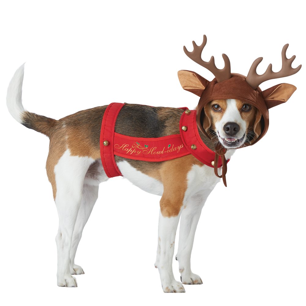 Picture of Reindeer Pup Pet Costume