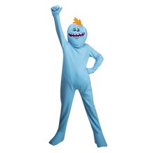 Picture of Rick and Morty Mr. Meeseeks Child Costume
