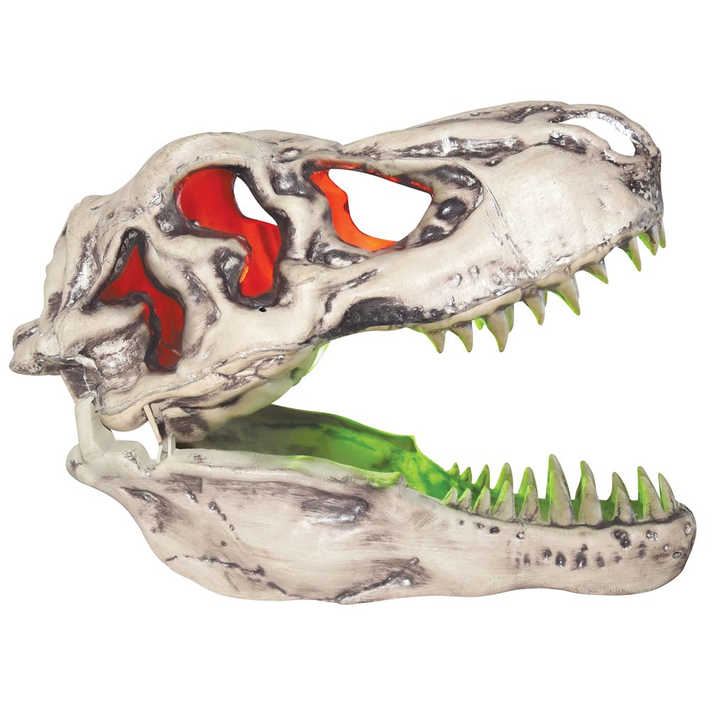 Picture of Sonic T-Rex Skull