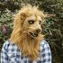 Picture of Mr. Lion Furry Mask