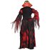 Picture of Gothic Countessa Adult Womens Plus Size Costume