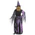 Picture of Starlight Witch Adult Womens Plus Size Costume