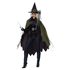 Picture of Gothic Witch Adult Womens Costume