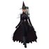 Picture of Gothic Witch Adult Womens Costume