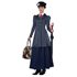 Picture of English Nanny Adult Womens Costume