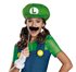Picture of Miss Luigi Tween Girl Costume