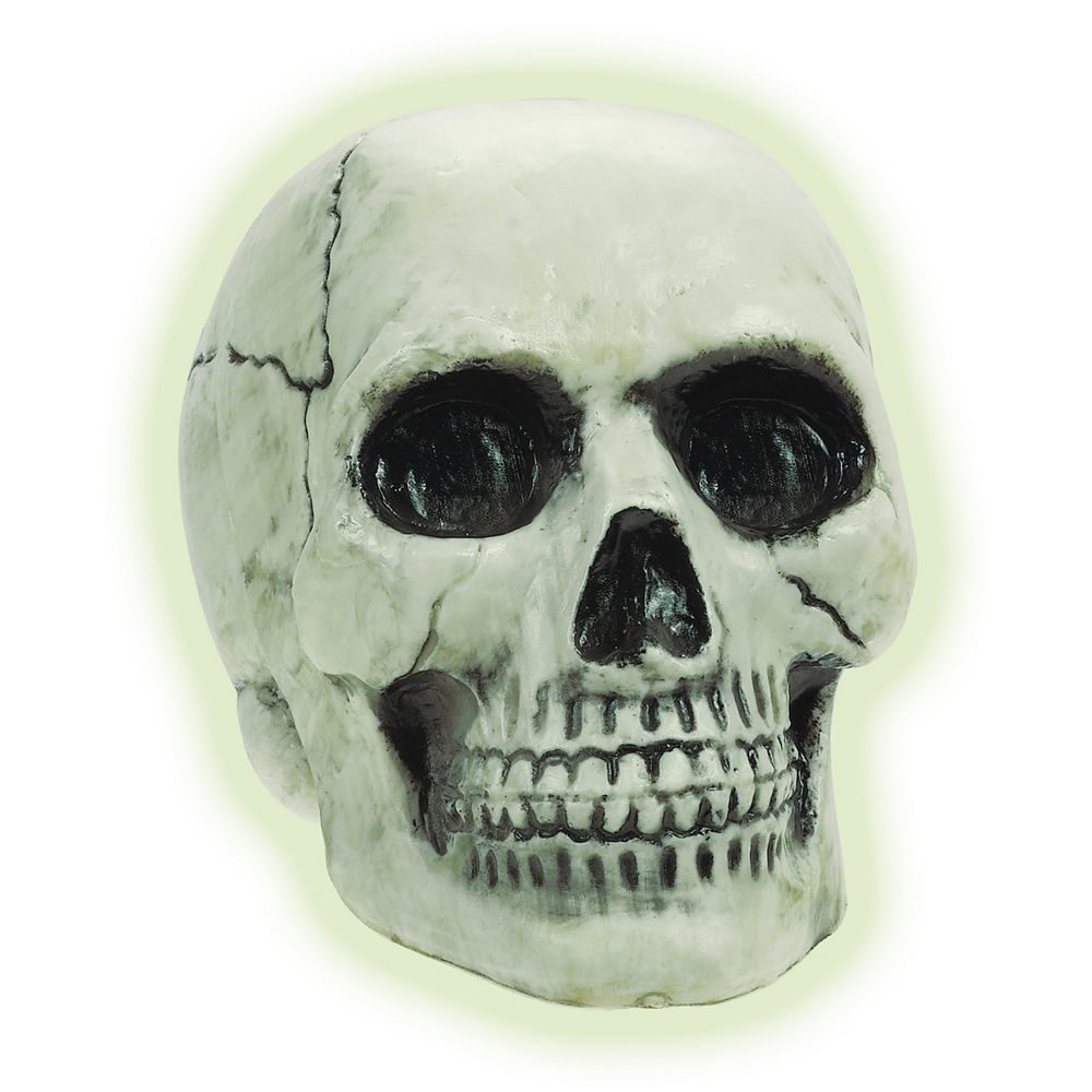 Picture of Glow in the Dark Plastic Skull 8in