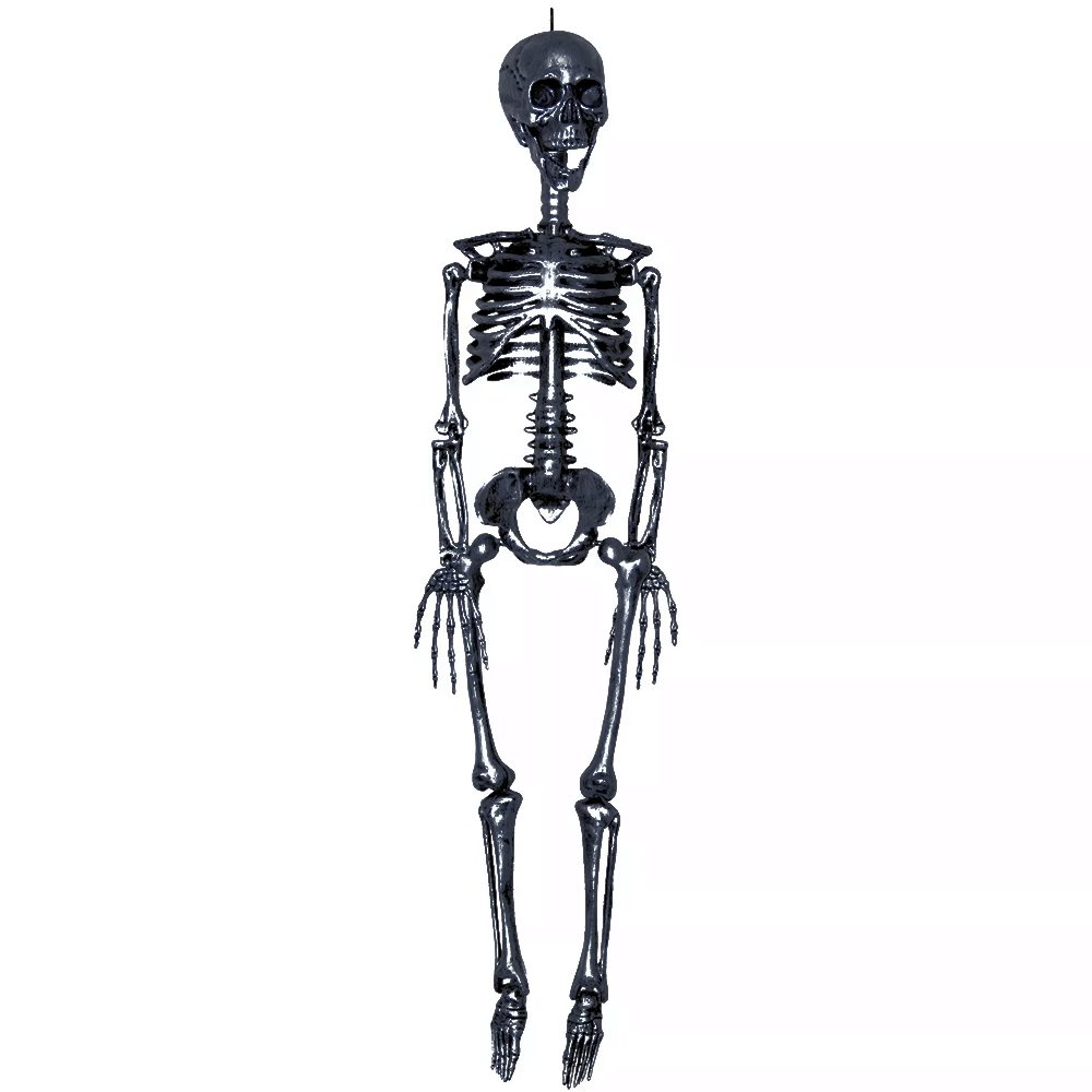 Picture of Black Realistic Plastic Skeleton 3ft