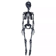 Picture of Black Realistic Plastic Skeleton 3ft