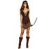 Picture of Beautiful Native Adult Womens Costume