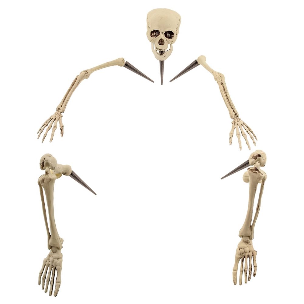 Picture of Life Sized Groundbreaker Skeleton 