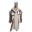 Picture of The Ice Mistress Adult Womens Costume