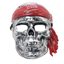 Picture of Silver Pirate Skull Mask