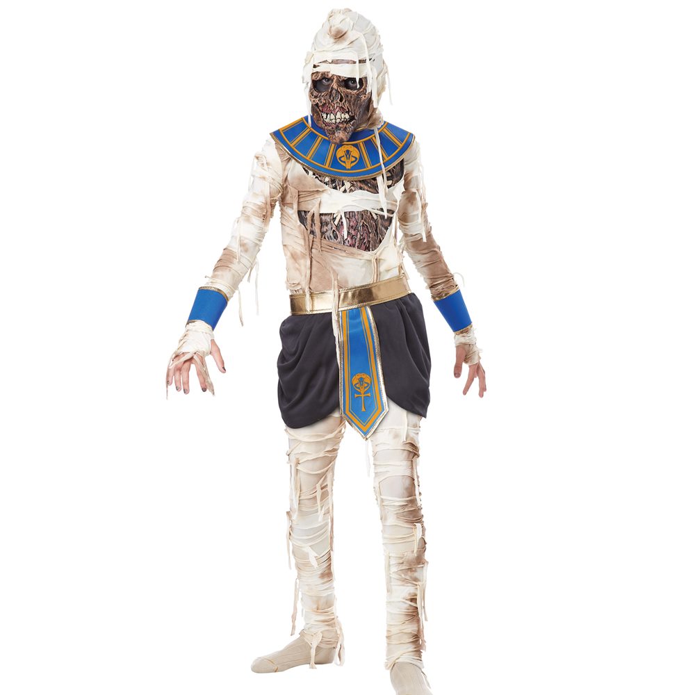 Picture of Mummy Pharaoh's Revenge Child Costume