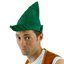 Picture of Robin Hood Hat
