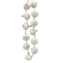 Picture of Garlic Necklace