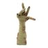 Picture of Brown Animated Mummy Hand