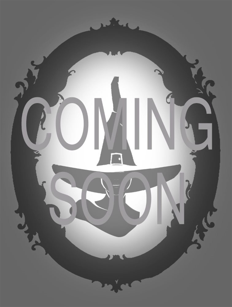 Picture of Spidey Witch Child Costume (Coming Soon)