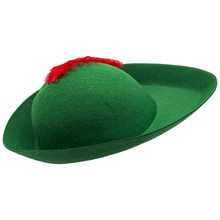 Picture of Robin Hood Hat