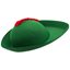 Picture of Robin Hood Hat