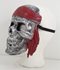 Picture of Silver Pirate Skull Mask