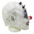 Picture of Horned Evil Clown Latex Mask