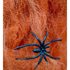 Picture of Orange Spiderweb